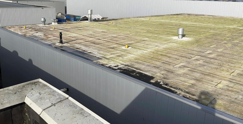 Carrara dak voor behandeling